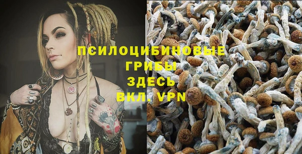 бутират Алексин