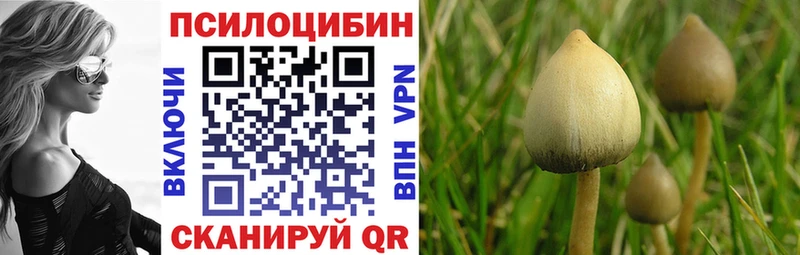 Псилоцибиновые грибы MAGIC MUSHROOMS  Октябрьск 
